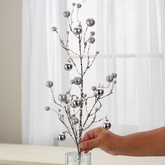 a hand holding a glass vase with silver balls on it and a tree branch in the middle