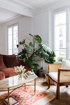 a living room filled with furniture and a large potted plant on top of a table