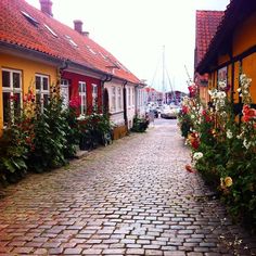 a cobblestone street lined with houses and flowers next to each other on both sides