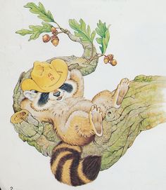 a drawing of a raccoon with a hat on it's head sitting in a tree