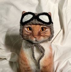 a cat wearing a knitted hat and scarf with goggles on it's head