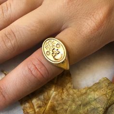 Memento Mori Signet Ring- Gold – Mementomoridesignsnyc Memento Mori Jewelry, Memento Mori Ring, Gold Signet Ring, Sterling Jewelry, Skull Ring, Memento Mori, Jewelry Inspo, Signet Ring, Class Ring