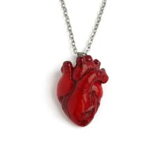 Realistic anatomical heart is a perfect gift for a doctor, paramedic, nurse or medical student.The size of a heart is about 1.3*1 inches (3,2*2,4 cm).The length of the necklace is adjustable from 18 to 21 inches. I can make any other length for your necklace and make а heart into other colors, just contact me before you buy.Material: polymer clay, stainless steel.♥ Anatomical Heart Brooch https://www.etsy.com/listing/655838975/anatomical-heart-brooch-realistic♥ Anatomical Heart Earrings https:// Heart Organ Necklace, Necklace Holder Clay, Real Heart Necklace, Human Heart Necklace, Halloween Valentines Day, Halloween Valentines, Anatomical Heart Necklace, Valentine Necklace, Clay Keychain