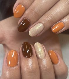 Pumpkin Colour Nails, November Shellac Nails, Fall Multi Colored Nails, Fall Mismatched Nails, October Gel Nail Ideas, Amber Nails Design, Orange Fall Nail Designs, Burnt Orange Nail Ideas, Fall Nails Art