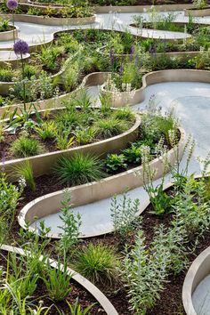 an outdoor garden with raised beds and plants in it, surrounded by various types of greenery