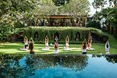 a group of women doing yoga in front of a swimming pool with greenery on the side