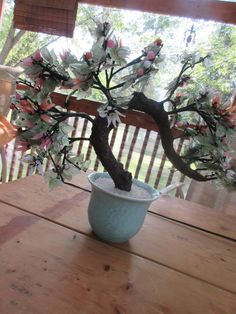 a bonsai tree in a blue pot on a wooden table