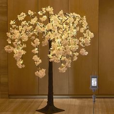 a lighted tree with white flowers in front of a wooden paneled wall and floor