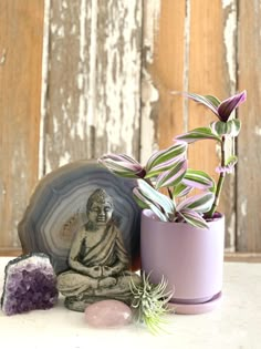 there is a small buddha statue next to some rocks and plants in a vase on the table