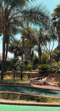 a skateboarder is doing a trick in the air over a green area surrounded by palm trees