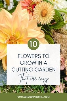 flowers with text overlay that reads 10 flowers to grow in a cutting garden that are easy