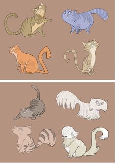 four different types of cats with different colors and sizes, all on one side of the screen