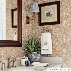 a bathroom sink under a mirror next to a plant