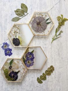 three hexagonal trays filled with flowers and plants on a white marble surface