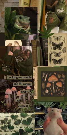 a collage of images with animals and plants in them, including mushrooms, leaves, butterflies, moths, and more