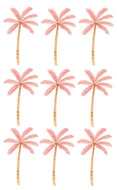 six pink palm trees on a white background