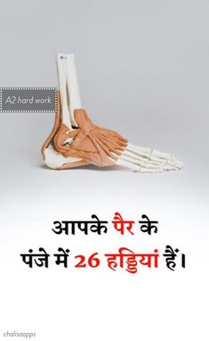 an advertisement for foot reflex therapy in india