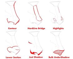 the different types of foot shapes and how to use them for each type of shoe