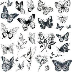 butterflies and flowers are drawn in black ink on a white background, each with different colors