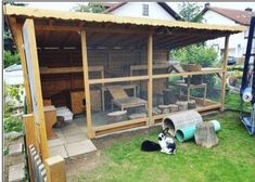 a chicken coop with two chickens inside and one laying on the ground in front of it