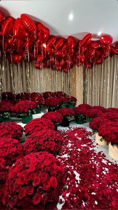 red flowers and balloons in a room with curtains