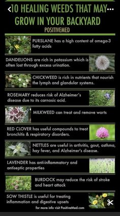 an info sheet describing the benefits of herbs