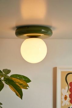 a light that is on in the ceiling next to a potted plant and pictures