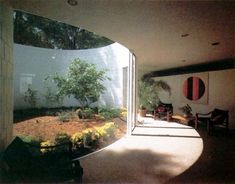 an open room with a tree in the center and other plants on the ground outside