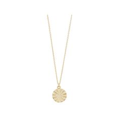 Accent your unique style with this Au Naturale 14k gold disc pendant necklace. Accent your unique style with this Au Naturale 14k gold disc pendant necklace. Length: 0.4 in. Chain length: 17 in. + 1-in. extender Chain type: cable Nickel free Metal: 14k gold Finish: polished Packaging: boxed Size: 17". Color: Yellow. Gender: female. Age Group: adult. Hammered Yellow Gold Medallion Necklace Gift, Hammered Yellow Gold Medallion Necklace As A Gift, Hammered Round Medallion Necklace As Gift, Sterling Silver Yellow Gold Medallion Necklace, Yellow Gold Sterling Silver Medallion Necklace, Elegant Circle Hammered Necklaces, Elegant Hammered Circle Necklace, Engraved Yellow Gold Circular Necklace, Engraved Circle Yellow Gold Necklace