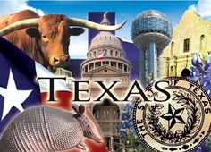 texas state collage with images of buildings and animals