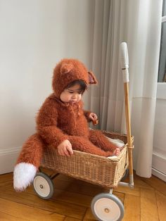 a small child sitting in a basket with a teddy bear on it's back