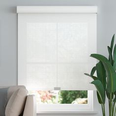 a living room with a couch, chair and large window covered in white roman shades