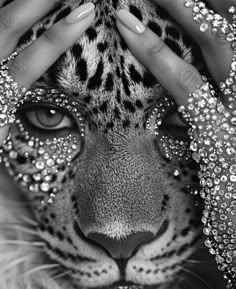 a woman's hands covering the face of a tiger with glitters on it