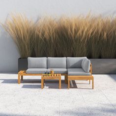 a couch and coffee table in front of some tall grass