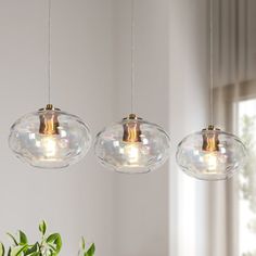 three clear glass globe lights hanging from a ceiling fixture over a table with a potted plant