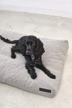 a black dog laying on top of a white bed in the middle of a room