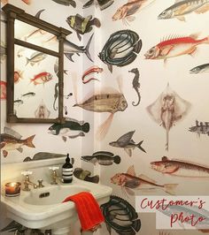 a bathroom with fish painted on the wall next to a sink and mirror in it