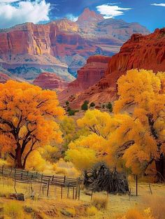 trees with yellow leaves stand in the foreground, near a fence and mountain range