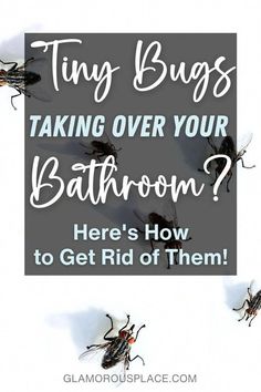 flies flying in the air with text that reads tiny bugs taking over your bathroom here's how to get rid of them