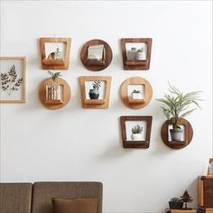 there are many wooden shelves on the wall with plants and potted plants in them