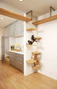 the cat tree is built into the wall in the kitchen