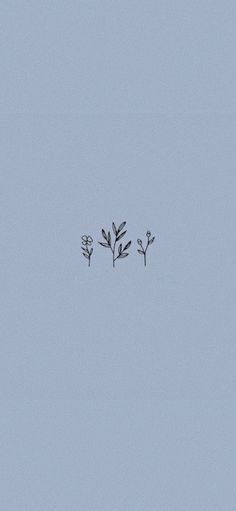 three small plants are in the sky together