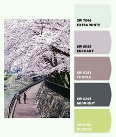 the color scheme for this photo shows people walking along a path with cherry blossom trees in bloom