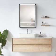 a bathroom with a sink, mirror and shelves on the wall next to a potted plant