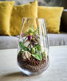 a vase filled with plants and rocks on top of a table next to a couch