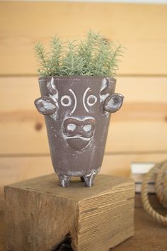 a potted plant with a face painted on it sitting on a wooden block in front of a wood wall