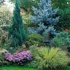 a garden filled with lots of different types of plants