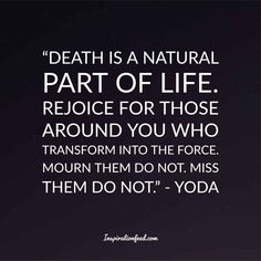 Yoda Sayings Quotes, Yoda Quotes Wisdom, Star Wars Quotes Inspirational, Remembrance Table, Jedi Code, Yoda Quotes, Yoda Star Wars, Star Wars Quotes, Quotes Wisdom