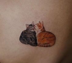 two cats sitting next to each other on the side of a woman's stomach