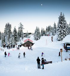 a group of people standing on top of a snow covered ski slope next to trees